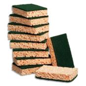 Tampon vert/Eponge v�g�tale Grand mod�le X 127 x 89 x 22 (10 PC)