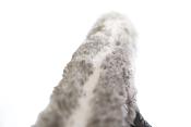 Revêtement Mouilleur NINJA Gris et Blanc 35 cm