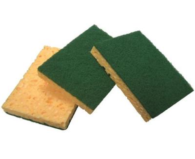 Tampon vert/Eponge végétale Petit modelé X 109 x 69 x 22 (10 PC)